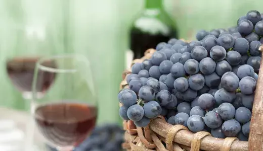 vino2 vino1