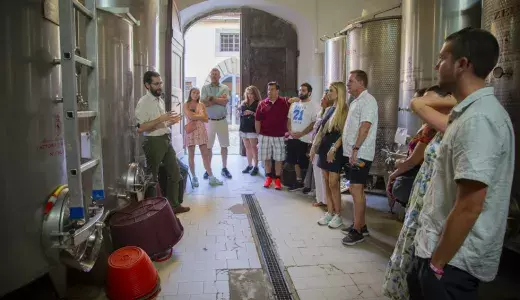 Private SuperTuscan wine tour