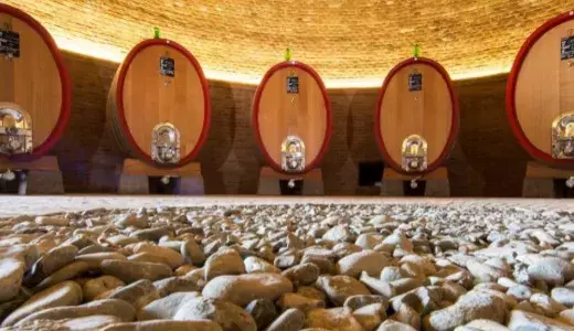 brunello barrels Brunello Wine tour