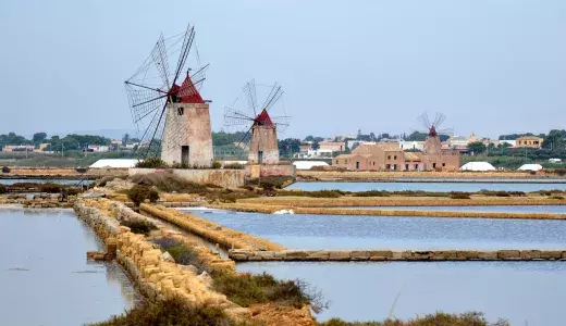 marsala