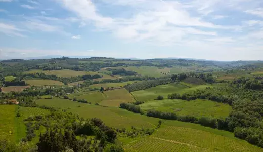 tuscany_wine_olive_oil_trail_11