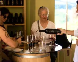 wine and olive oil tuscany