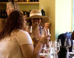 Chianti Full Immersive Wine & Olive Oil Experience 