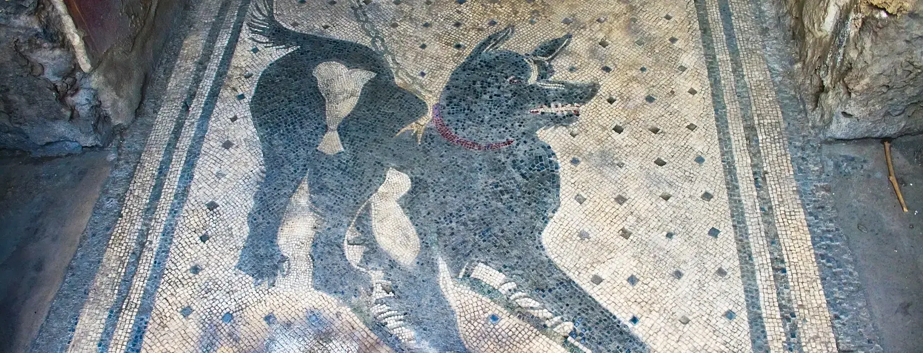 dogs pompeii