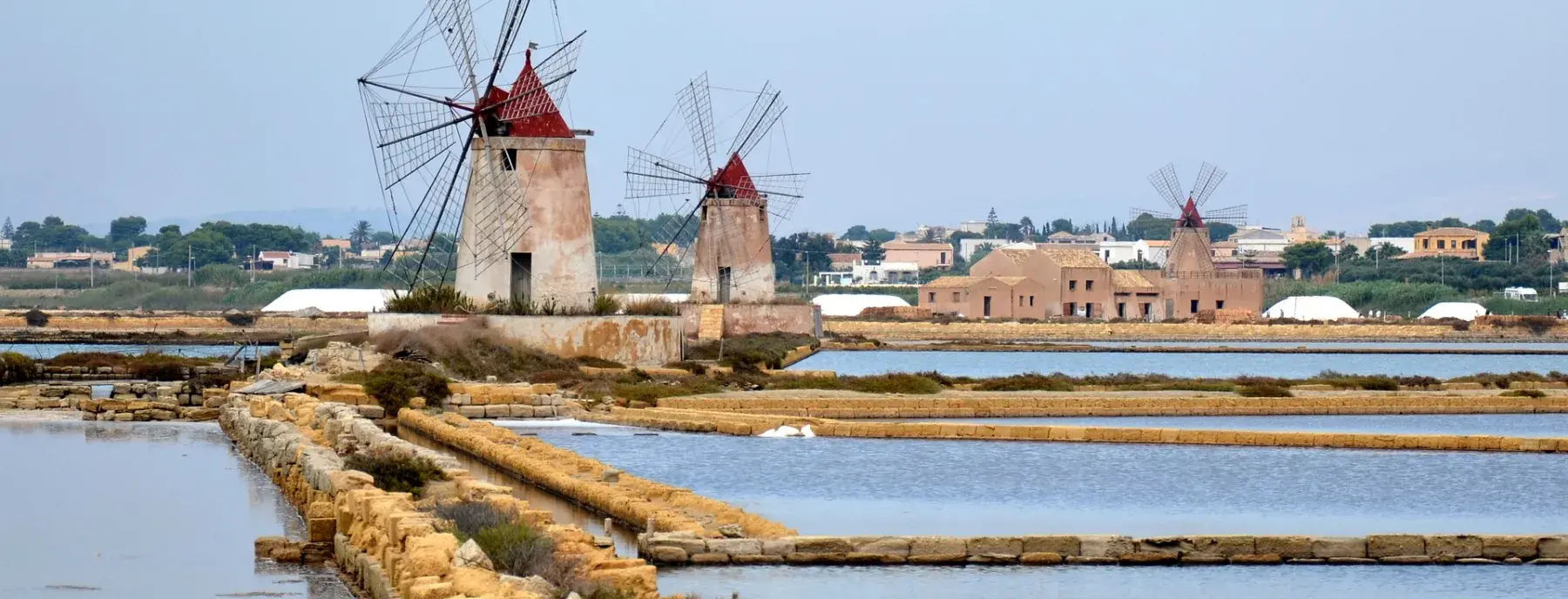 marsala