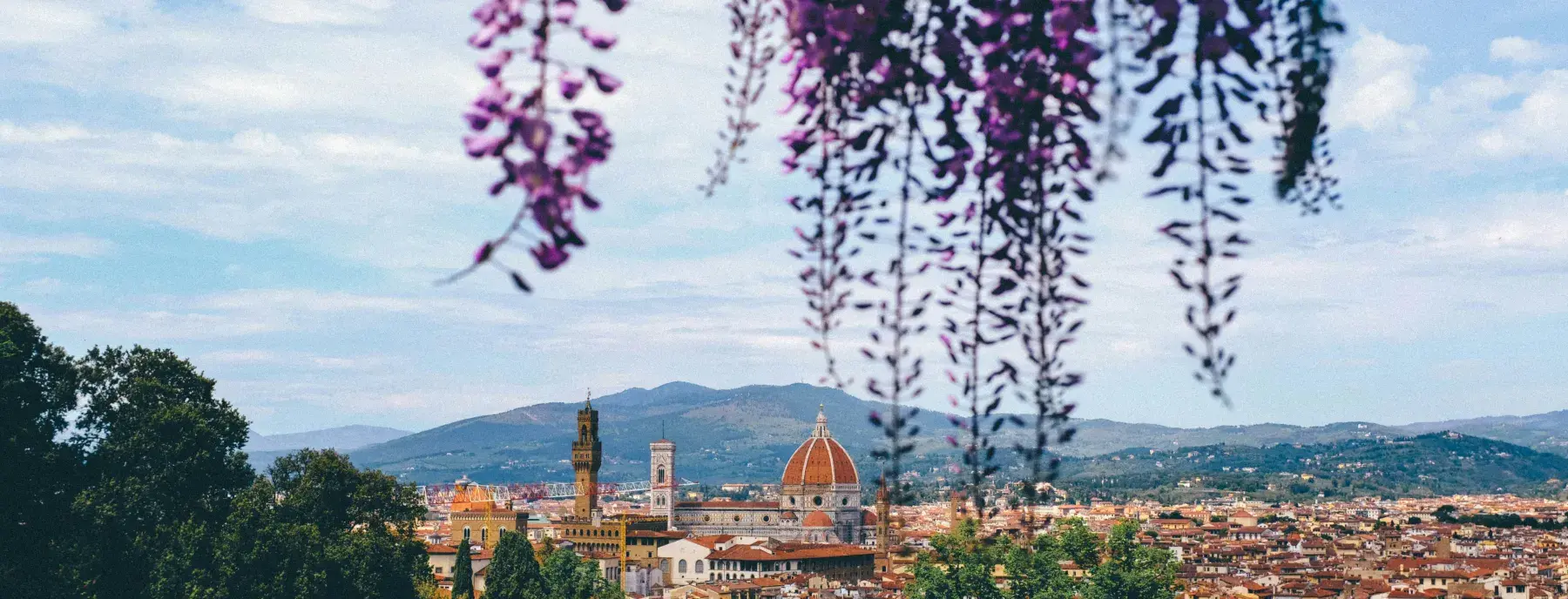 Bardini Garden