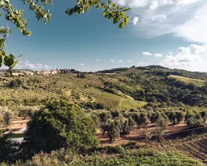 chianti