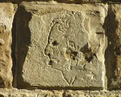 michelangelo face