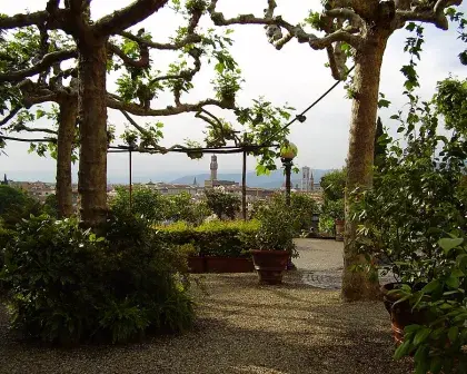 giardino delle rose