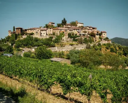 greve chianti