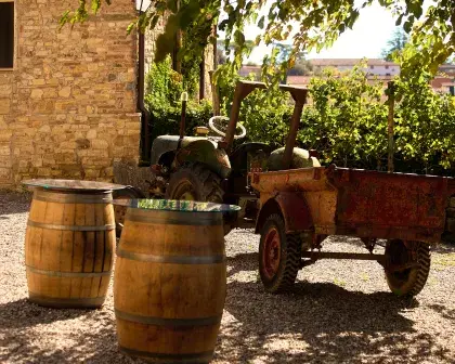 chianti wine