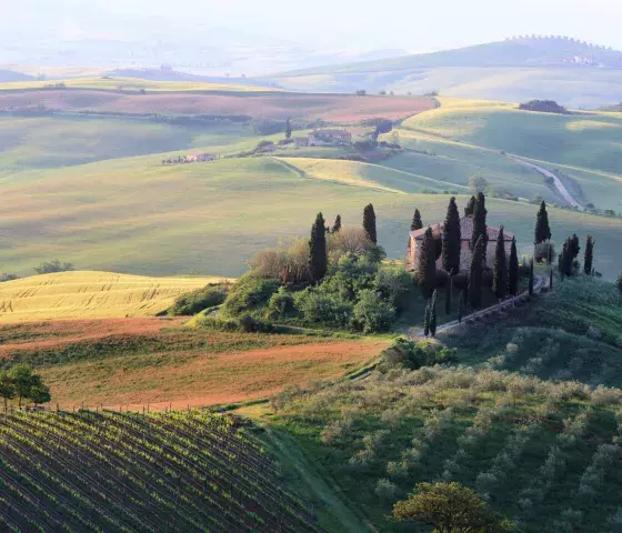 experiences in Tuscany