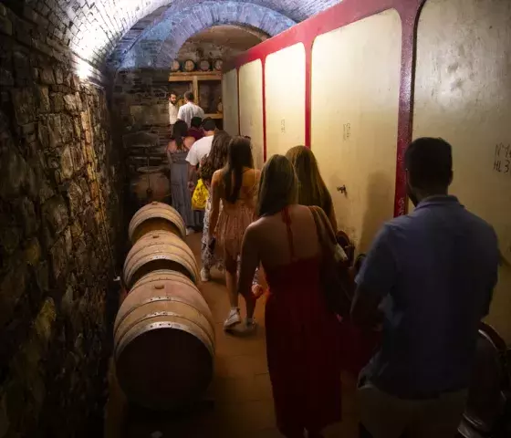 Private SuperTuscan wine tour