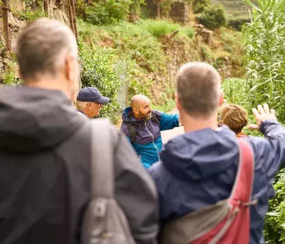 Semi private Cinque Terre guided tour from Florence