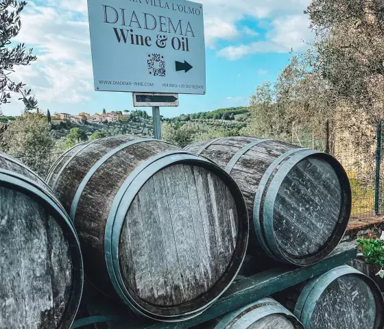 Diadema wine and olive oil