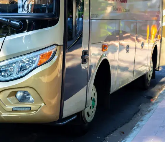 bus