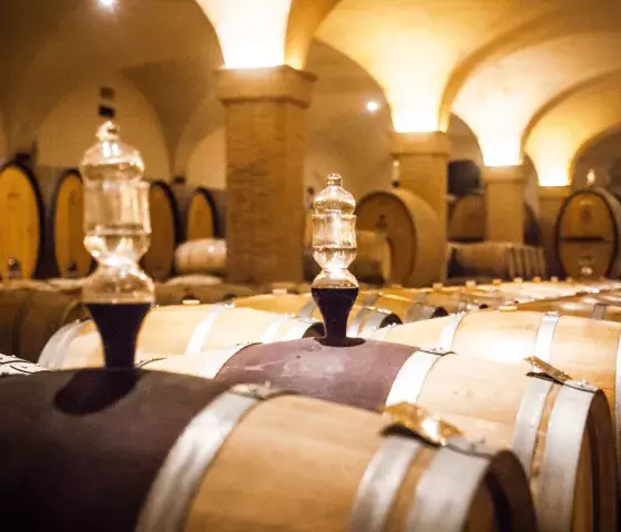 Brunello wine tour