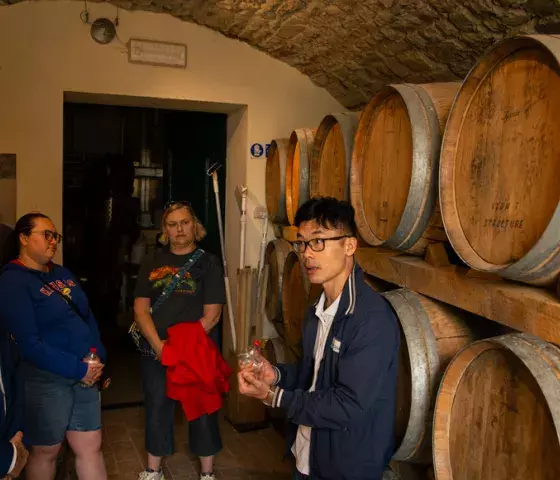 Topolino guided tour
