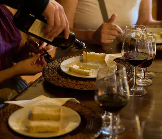Chianti Full Immersive Wine & Olive Oil Experience 