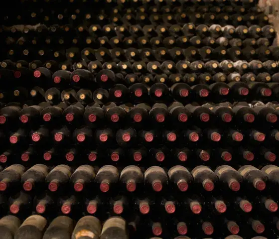 SuperTuscan wine tour