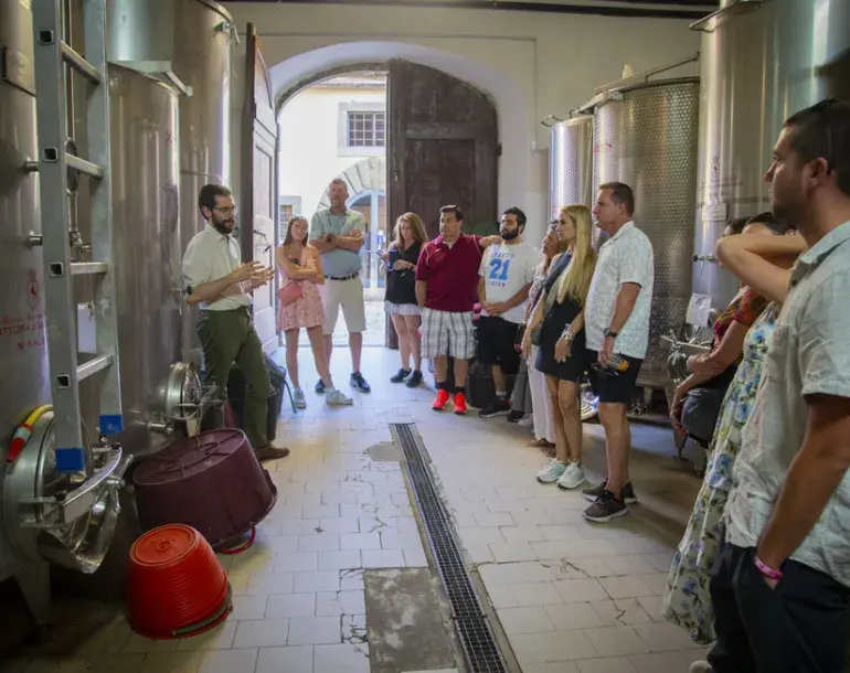 Private SuperTuscan wine tour