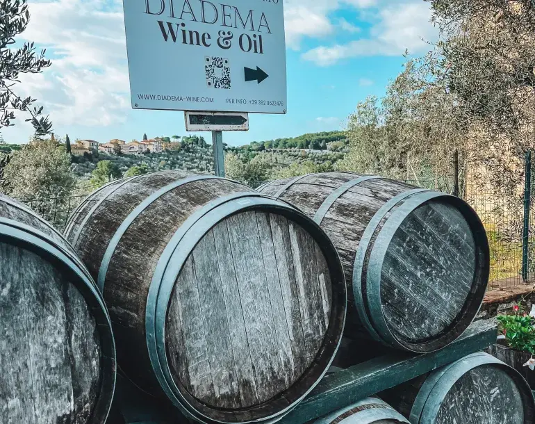 Diadema wine and olive oil