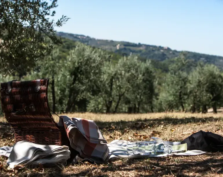 Private hiking tour with picnic