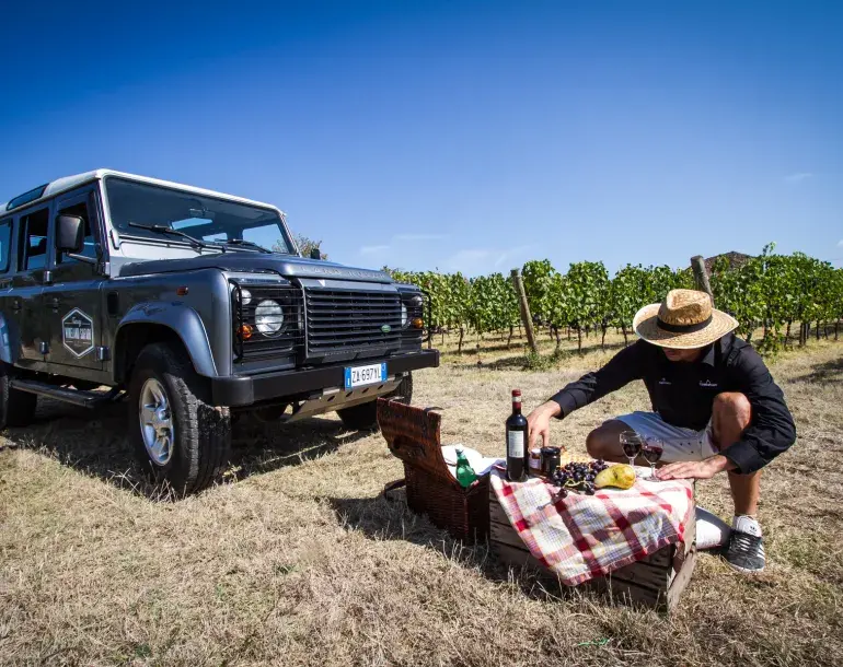 wine safari 10