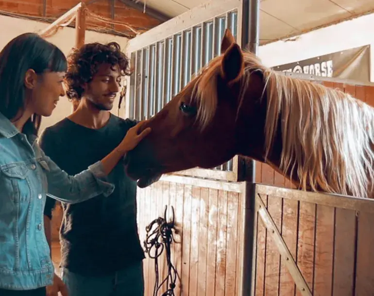 horse riding and vineyard tour