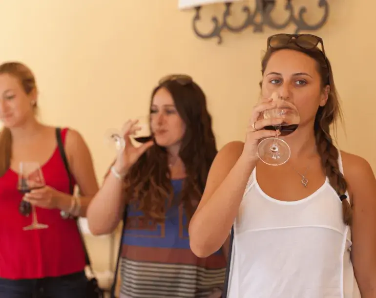 horse riding and vineyard tour