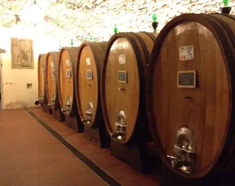 tuscany_wine_olive_oil_trail_41