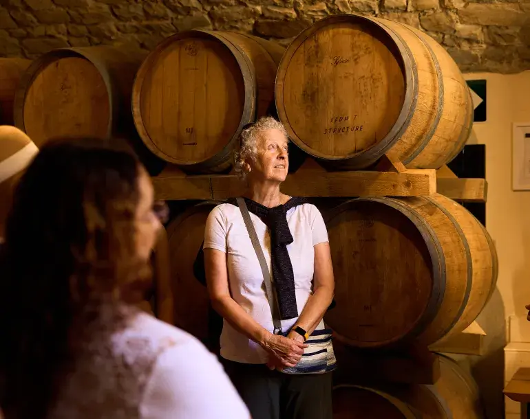 wine and olive oil tuscany