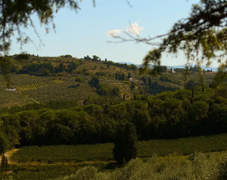 Chianti