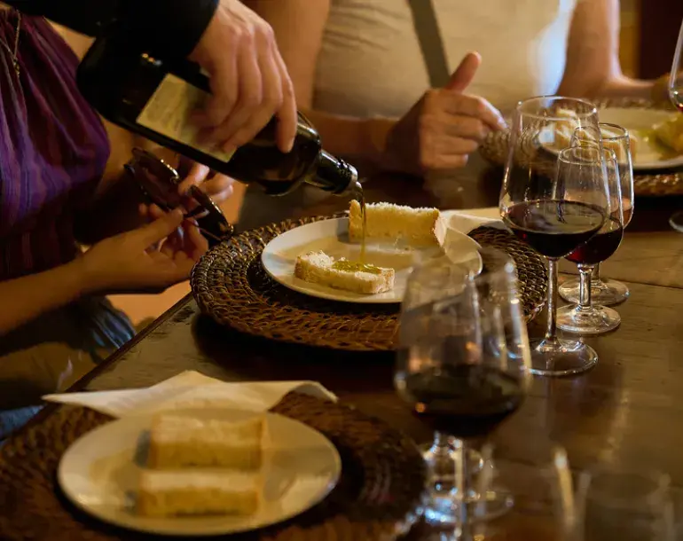 Chianti Full Immersive Wine &amp; Olive Oil Experience