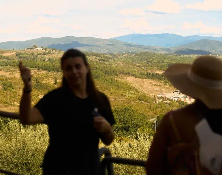 wine and olive oil tuscany