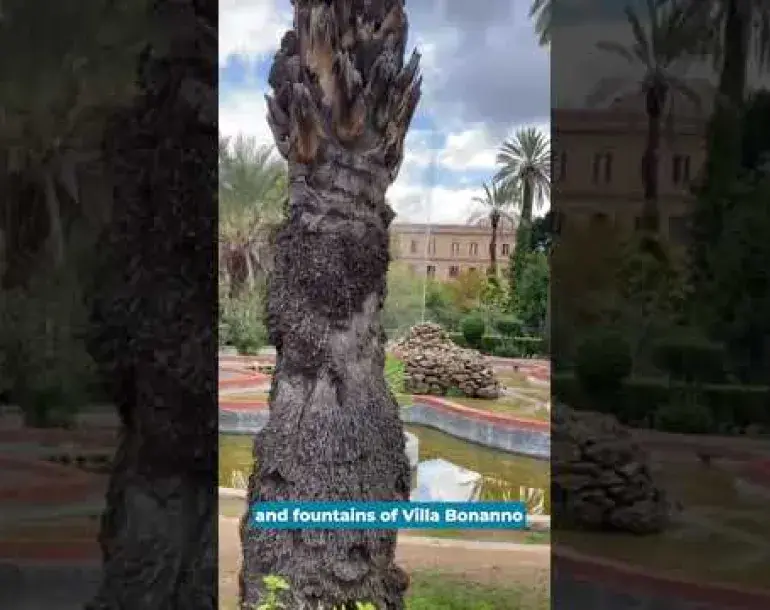 Preview image for the video "Palermo walking tour with Palazzo dei Normanni visit".